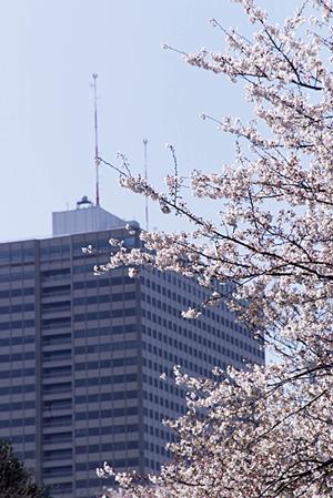 宇都宮市で不動産売買を依頼する